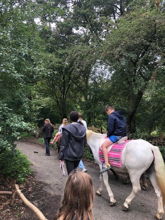 De Antoontjes foto 6