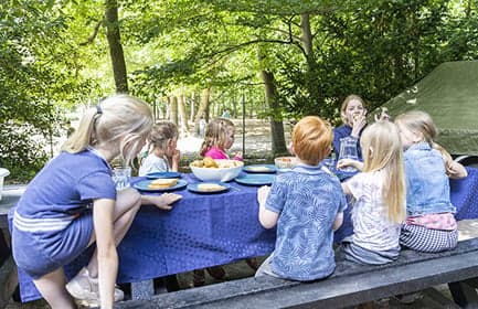 BSO Het Boshonk foto 4