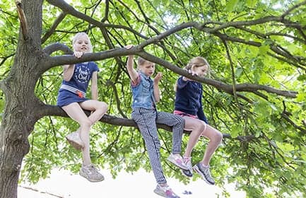 BSO Het Boshonk foto 6