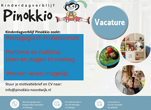 Pinokkio Van Panhuyssstraat foto 9