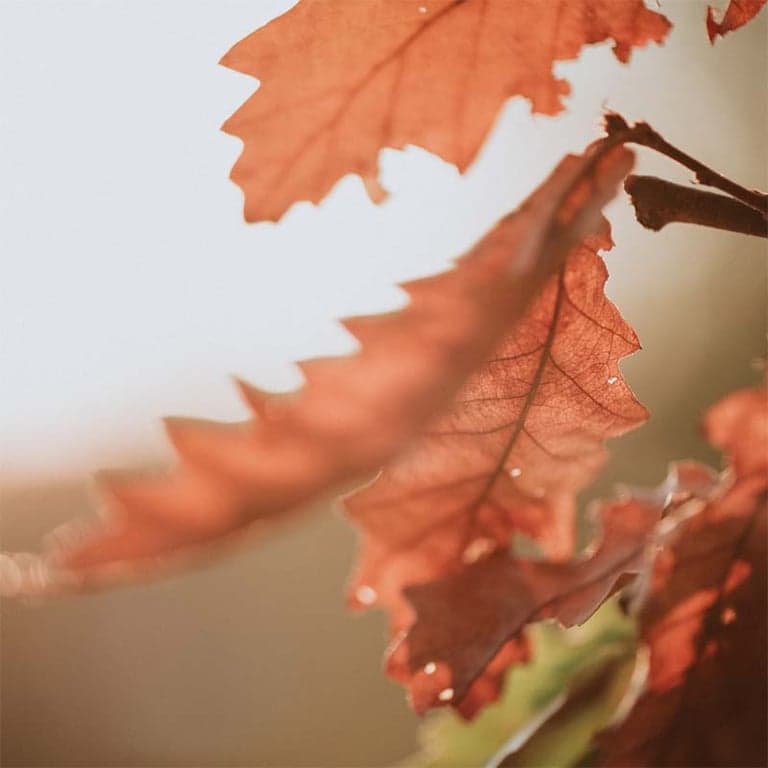 Little Stars Kinderopvang foto 5