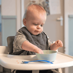 De Vlindertuin foto 6