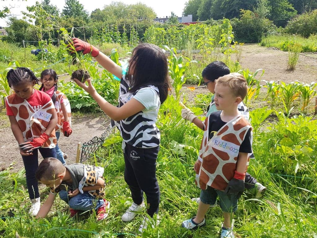 Kiddoozz - Sliedrechtstraat foto 7