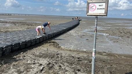 Kadoze Kaduize foto 8