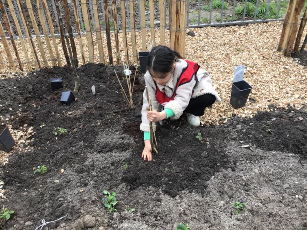 BSO Oostzanerwerf foto 7