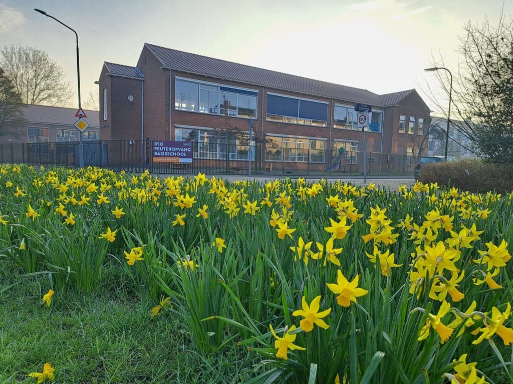BSO Prinses Julianaschool 3