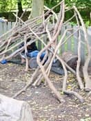 BSO Parkmeester foto 4