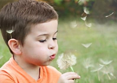 BSO Parkmeester foto 10