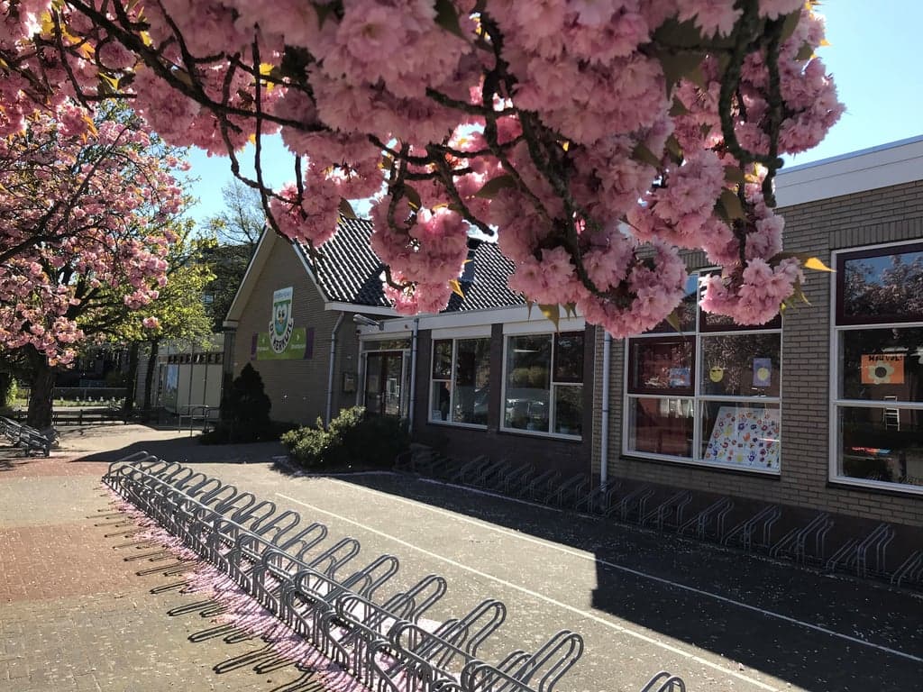 Kindcentrum De Kerkuil