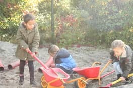 Klein Kamerik foto 8