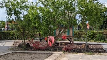 Peuterplein Kinderopvang foto 8