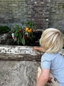 BSO het Stoerwoud NG30