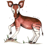 BSO het Stoerwoud NG30 foto 8