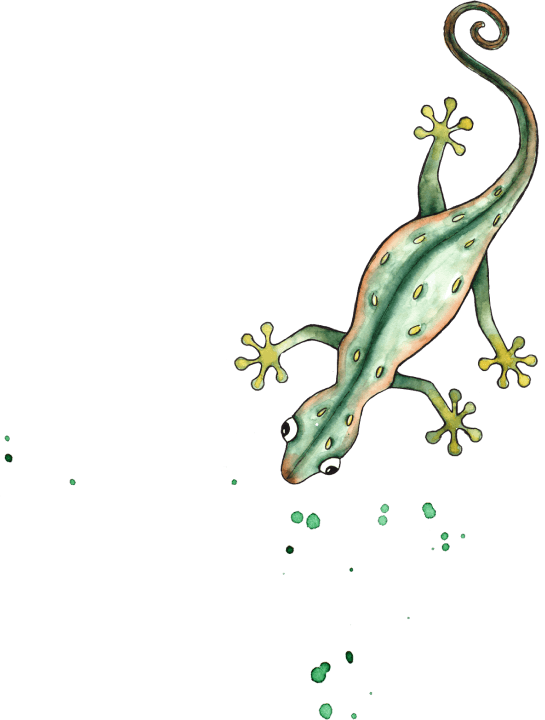 BSO het Stoerwoud NG30 foto 9