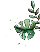 BSO het Stoerwoud NG30 foto 10