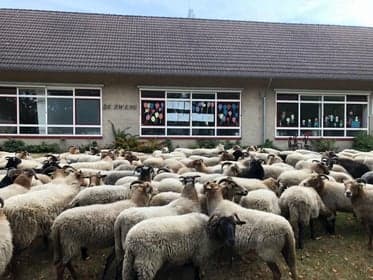 Voorschool De Zweng 2