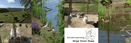 Kinderopvang Stap Voor Stap 2