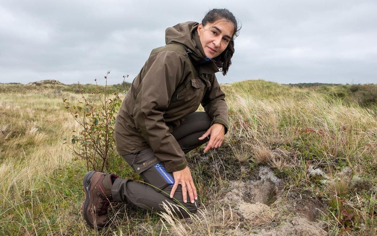 De Boswachter foto 6