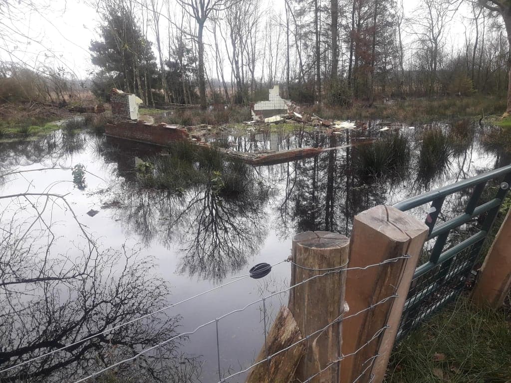 De Boswachter foto 8