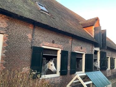 Bij de Boerderij foto 5