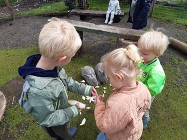 Ús Boartersplakje foto 5