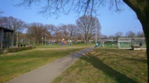 BSO Flierefluit foto 9