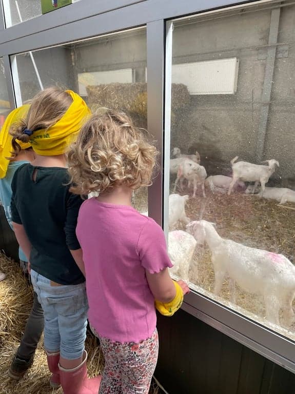 WildWoozt De Blokhut