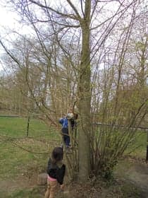 Agrarische Kinderopvang Het Groene Spoortje foto 10