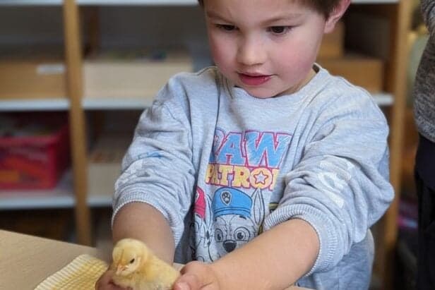 Kinderdagverblijf Sint Clemens foto 8