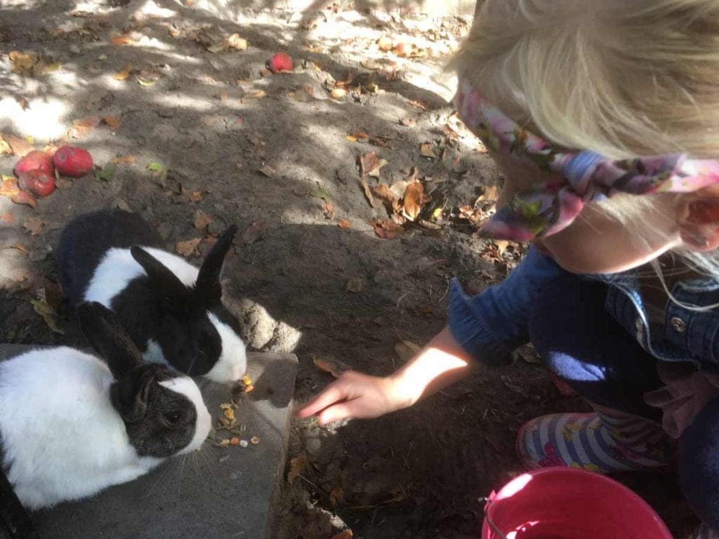 KDV Het Keizerskroontje 3