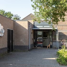 de Pinksterbloem foto 10