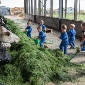 KDV & BSO De Boerderij