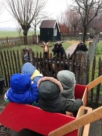 KDV & BSO De Boerderij foto 9