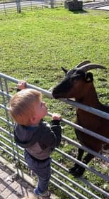 Kinderopvang Zien Peize