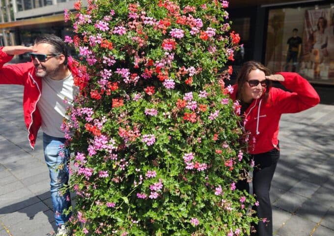 Melktanthofje foto 10