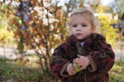 De Wiebelwagen foto 7