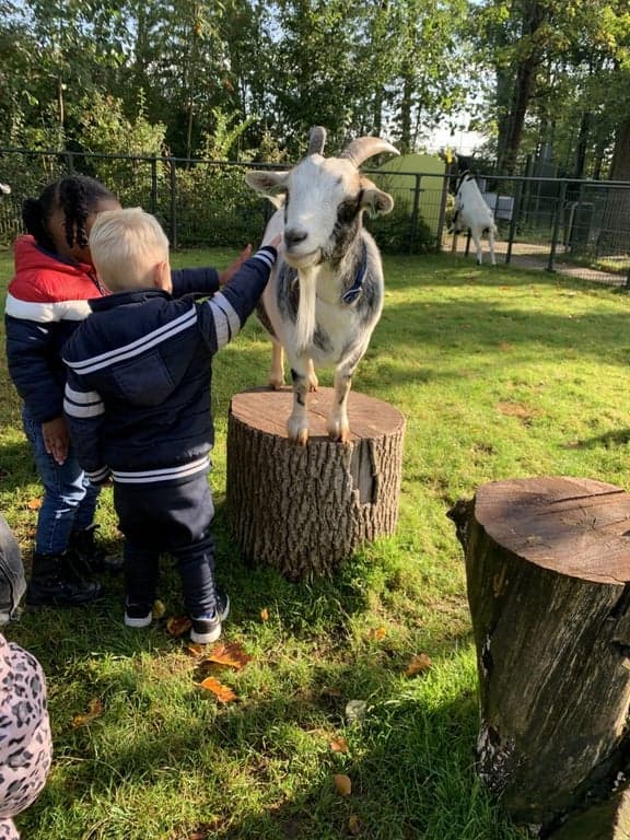 Kinderdagverblijf 't Zonnetje 3