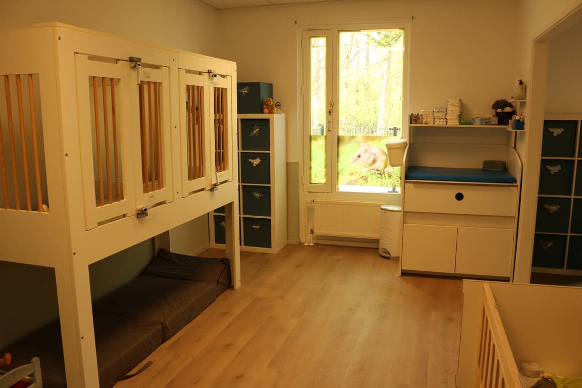 Kinderdagverblijf Onder de Boompjes Velp B.V. foto 7