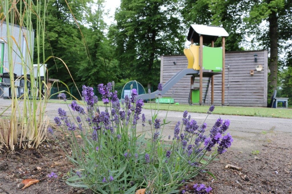 Kinderdagverblijf Onder de Boompjes Velp B.V. foto 8
