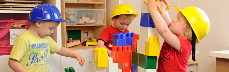 Tomtiedom Haave foto 7