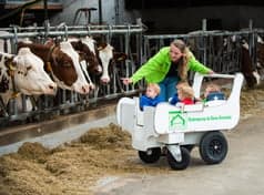 Kinderopvang de Kleine Kornuiten 3