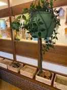 UMC Kinderdagverblijf foto 7