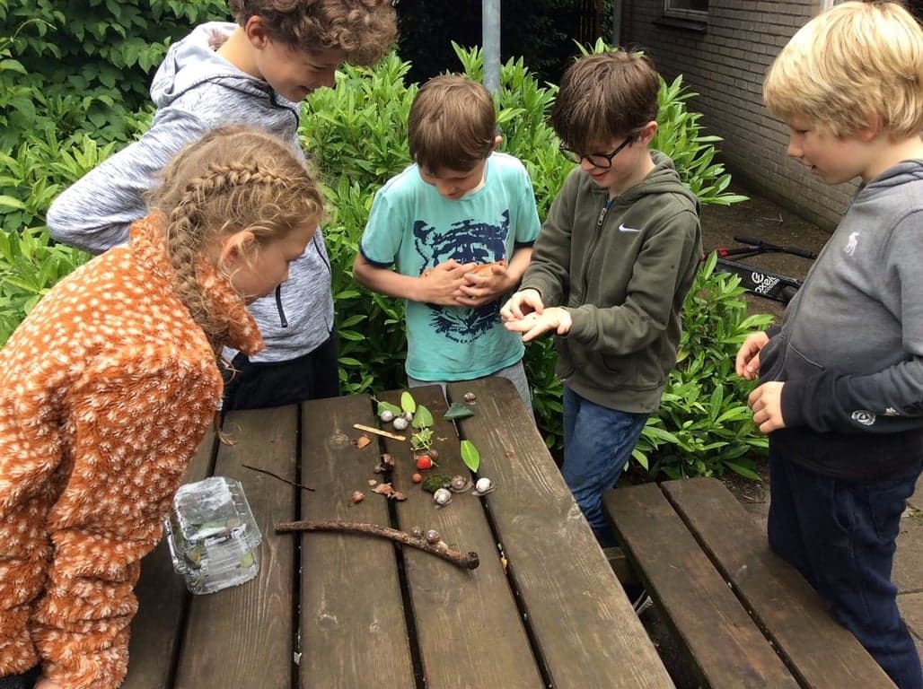 Ska Kindcentrum Kick 3