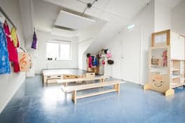 Partou BSO Moerasvaren 105 foto 4