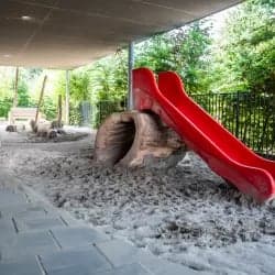 De Verwondering foto 4