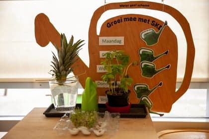 Vlinderstruik foto 4