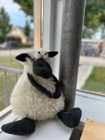 HOPPAS Andel Burgemeester Baxlaan foto 5