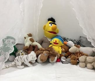 KDV Klein & Wijs foto 7