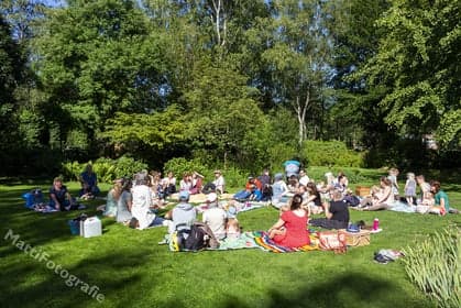 BSO De Zevensprong foto 5