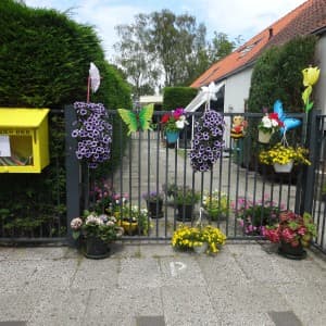 De Zonnestraaltjes foto 8